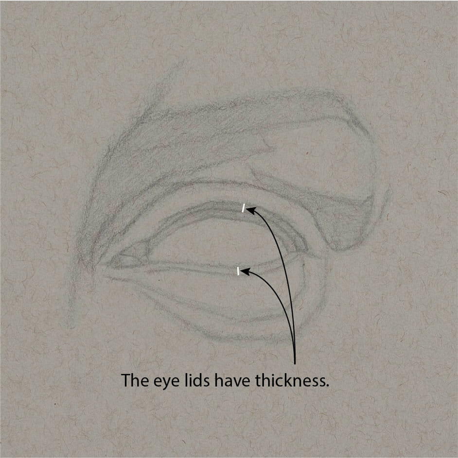 A capture of the demonstration drawing in-progress, with markups indicating the thickness of the eyelids.
